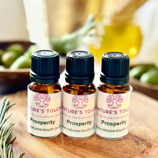 Prosperity Diffuser Oil 10ml